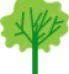 tree-plantation